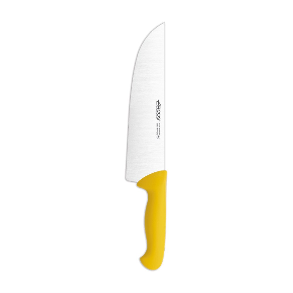 ARCOS Yellow Szeroki nóż rzeźniczy 296000 – 250 mm — Zdjęcie produktu 01
